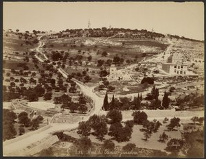 Mont des Oliviers, Jérusalem - Félix Bonfils