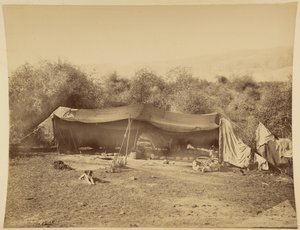 Tente de Bédouins nomades, Palestine - Félix Bonfils