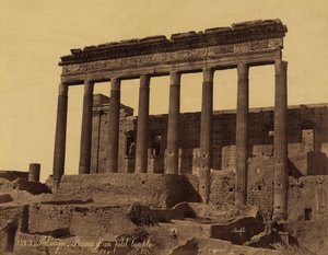 Colonnade détachée devant un temple à Palmyre, Syrie - Félix Bonfils
