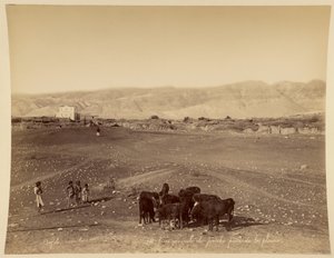 Vue générale de Jéricho prise de la plaine - Félix Bonfils