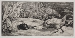 Un inconnu - Felix Bracquemond