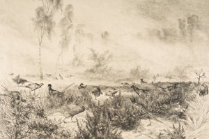 Brumes du matin