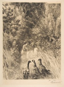 Canards surpris, 1882