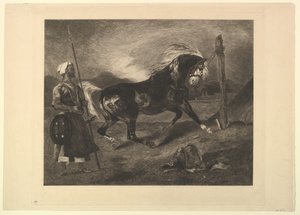 Cheval arabe au piquet, d