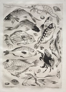 Service de table (service Rousseau) : Poissons (n° 24) - Felix Bracquemond