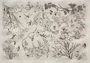 Service de table (service Rousseau) : Fleurs (n° 22)
