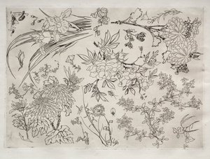 Service de table (service Rousseau) : Fleurs (n° 23) - Felix Bracquemond