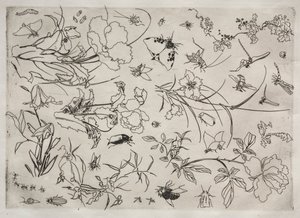 Service de table (service Rousseau) : Fleurs et insectes (n° 15)