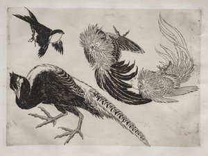 Service de table (service Rousseau) : Faisans et oiseau (n° 18) - Felix Bracquemond