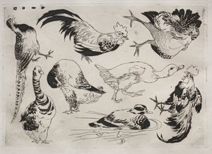 Service de table (service Rousseau) : Coqs, canards, etc. (n° 13) - Felix Bracquemond