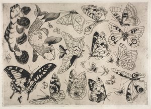 Service de table Rousseau : Papillons et Poissons n° 16 - Felix Bracquemond