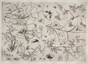 Service de table Rousseau : Fleurs et Insectes n° 15, 1866