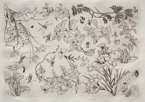 Service de table Rousseau : Fleurs n° 22, 1866