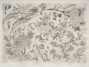 Service de table Rousseau : Fleurs n° 23, 1866 - Felix Bracquemond