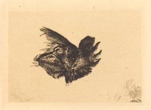 Tête de coq - Felix Bracquemond