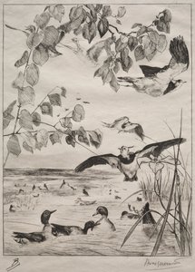 Vanneaux et sarcelles, 1862