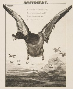 Le Canard, 1856 - Felix Bracquemond