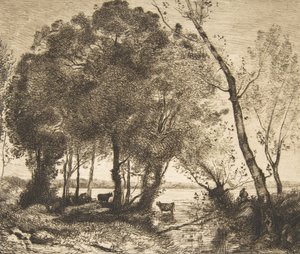 Le Lac, 1861 - Felix Bracquemond