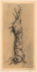 Le Lapin de Garenne - Felix Bracquemond