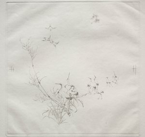 Service parisien Service Haviland : La Lune n° 5, 1875 - Felix Bracquemond