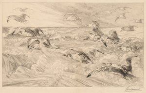 Seagulls (Les Mouettes) - Felix Bracquemond