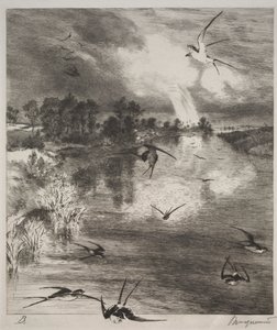 Hirondelles - Felix Bracquemond