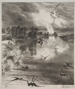 Hirondelles, 1882 - Felix Bracquemond
