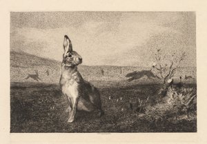 The Hare (Le Lièvre) - Felix Bracquemond