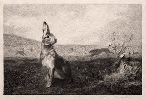 Le lièvre (d