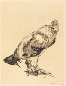 Le Vieux Coq