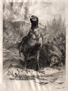 Les faisans, 1899