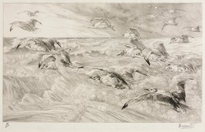 Les mouettes - Felix Bracquemond