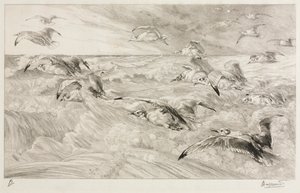 Les mouettes, vers 1880 - Felix Bracquemond