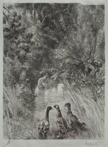 Les canards surpris - Felix Bracquemond