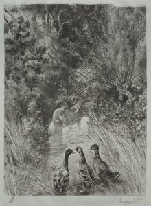 Les canards surpris - Felix Bracquemond