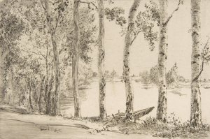 Trembles au bord de la Seine - Felix Bracquemond