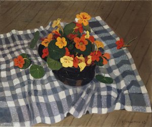 Bol de capucines - Felix Edouard Vallotton