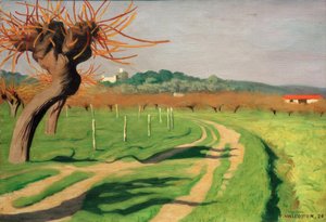 Vallée de la Cagne - Felix Edouard Vallotton