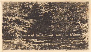 Forêt - Felix Hilaire Buhot