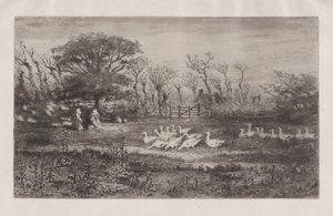Oies, 1860-98 - Felix Hilaire Buhot