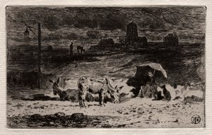 Les ânes à la colline des Cailles - Felix Hilaire Buhot