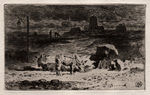 Les Ânes à la Colline des Cailles, vers 1875 - Felix Hilaire Buhot