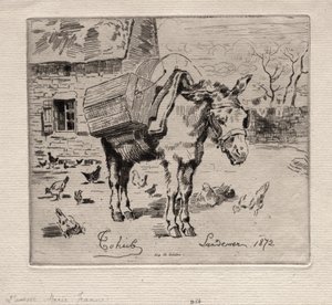 La Mule, Marie-Jeanne - Felix Hilaire Buhot