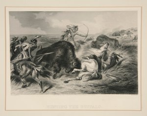 Chasse au bison - Felix O. C. Darley