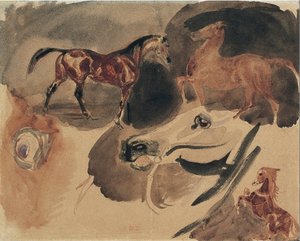 Étude de chevaux