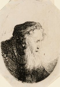Vieil homme à la barbe flottante - Ferdinand Bol