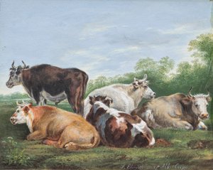Vaches dans un pré