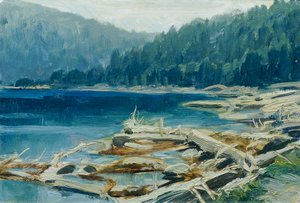 Forêt de Bohême (de la série «16 vues de paysages tchèques 