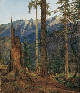 Le massif de Höllengebirge près d