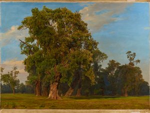 Grande paysage du Prater
